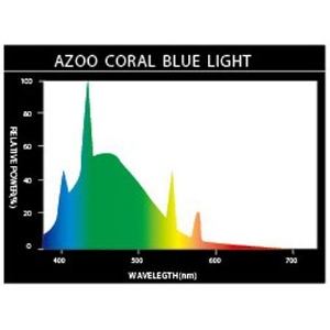 Coral Blue Light
