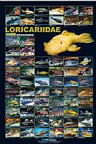 Loricariidae