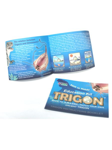 Trigon Education Kit