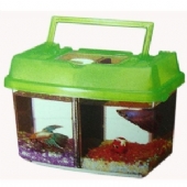 Betta Habitat