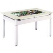 Eco-Desk: 146x88x76cm