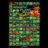 Aquatic Plant