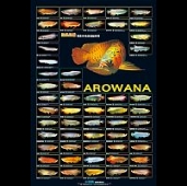 Arowana