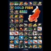 Gold Fish