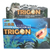 Trigon Education Kit