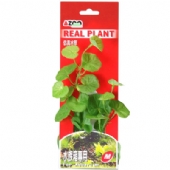 Real Plant-Fabric Leaves
