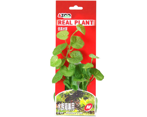Real Plant-Fabric Leaves