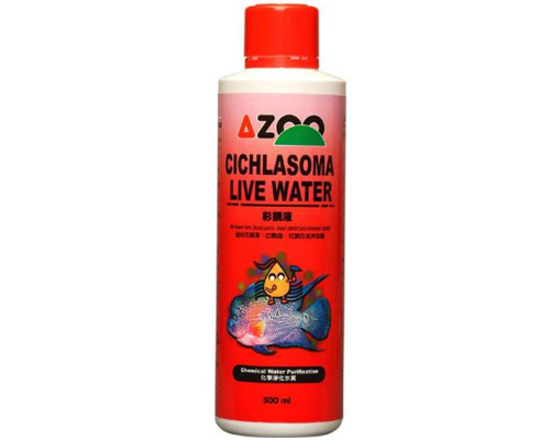 Cichlasoma Live Water
